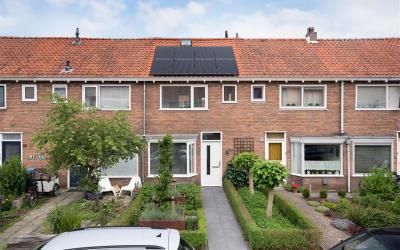 Haagdoornst. 48