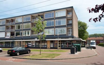 Sleutelbloe. 1