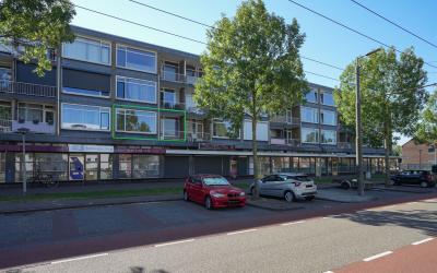 Sleutelbloe. 13