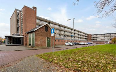 Sleutelbloe. 63