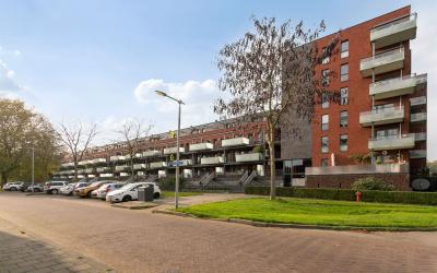 Veenwortels. 113