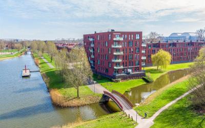 Veenwortels. 153