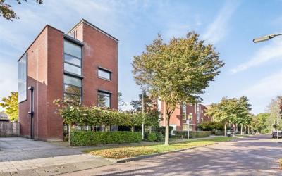 Zenegroen 2
