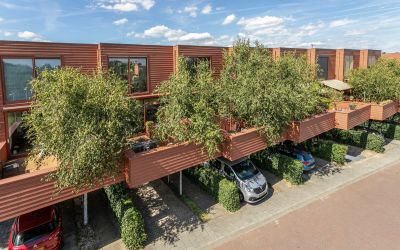 Zenegroen 42
