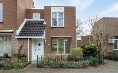 De Burcht 8