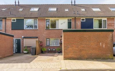 Zeelandsing. 31