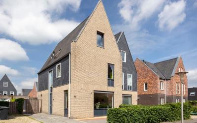 Timmerhout 10