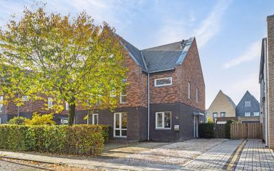 Timmerhout 12