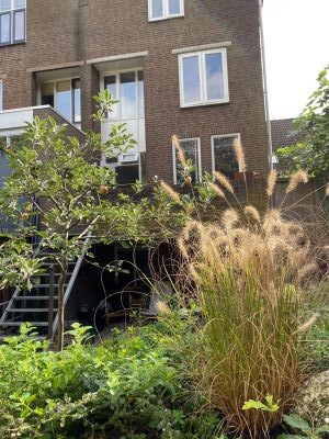 Walstraat 41