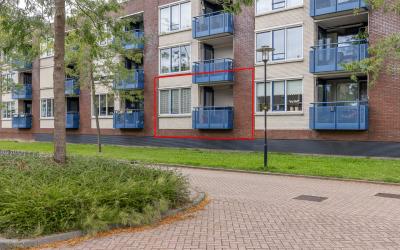 Pater Rijke. 12