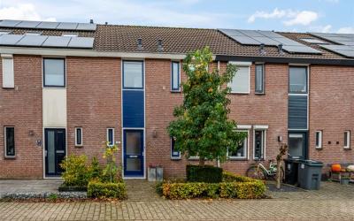 Gravekamp 54