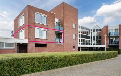 Goudreinet 51