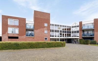 Goudreinet 67