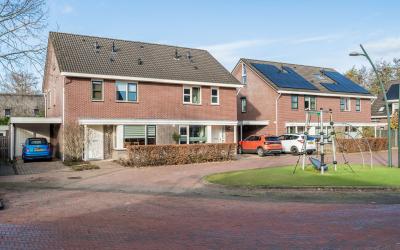 Witte Wieve. 8