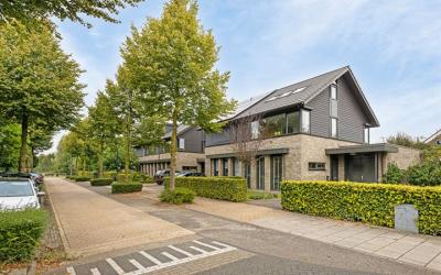 Wapenschouw 2