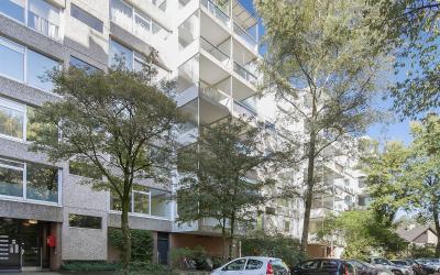 De Zalmen 49