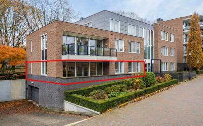 van Nispen. 61