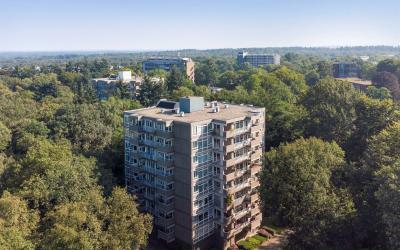 Koningsberg 28