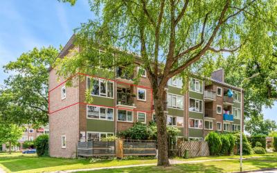Eekhoornstr. 2-I