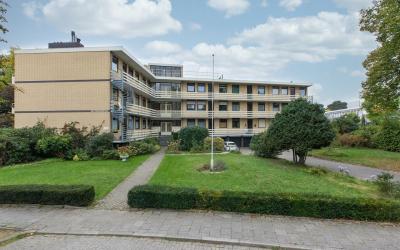 Pinkenbergs. 3-B