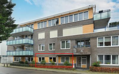 Wilhelminas. 3-A