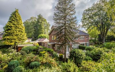 Beethovenla. 10