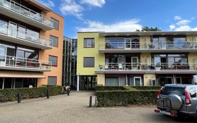 Nieuw-Schoo. 250