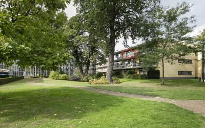 Nieuw-Schoonoord 270