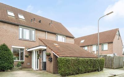 De Eersteli. 4