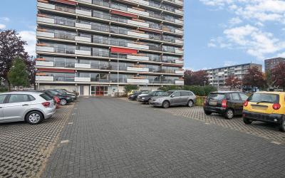 Aalscholver. 8