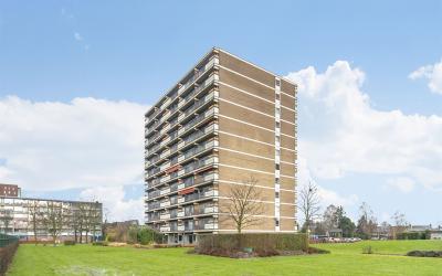 Aalscholver. 108