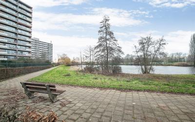 Aalscholver. 76