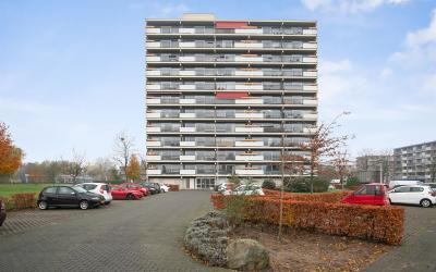 Aalscholver. 88