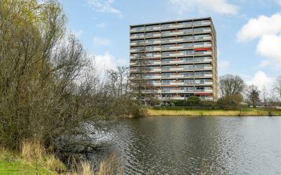 Aalscholver. 214