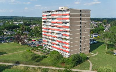 Aalscholver. 264