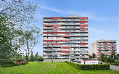 Aalscholver. 266