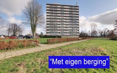 Aalscholver. 436