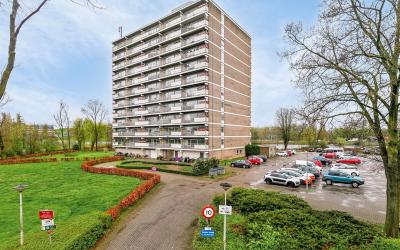 Aalscholver. 440