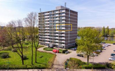 Aalscholver. 510