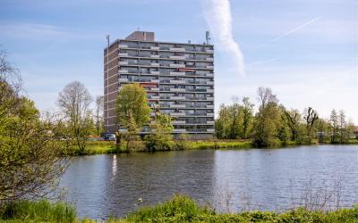 Aalscholver. 592