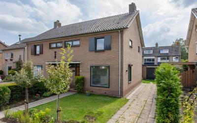 Zilvermeeuw. 2