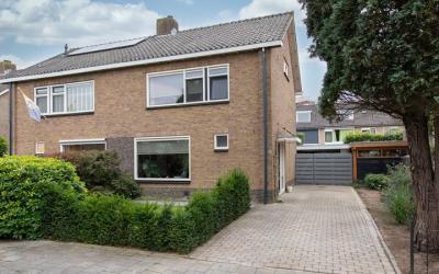 Zilvermeeuw. 8