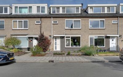 Kraanvogels. 10