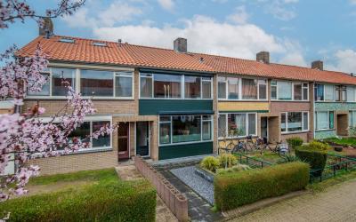 Schievestra. 63
