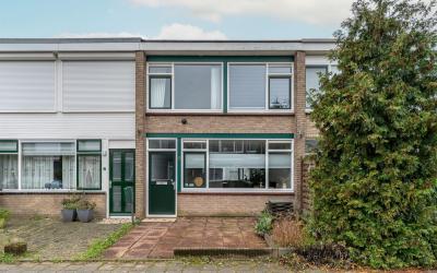 Willem Kloo. 6