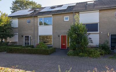 De Olmen 65