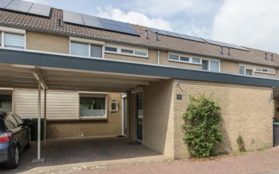 Zonegge 21 28