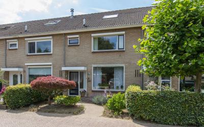 Horteler 7