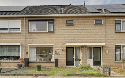 Dr Schaepma. 29