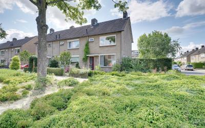 Schimmelpen. 29